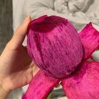 熊孩子的车祸现场