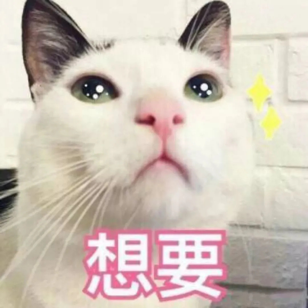 我家猫总是莫名其妙的盯着某个地方看，难道看见了鬼？