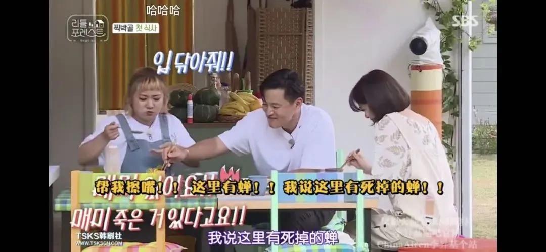 千万别看这个带娃综艺!太上头了……