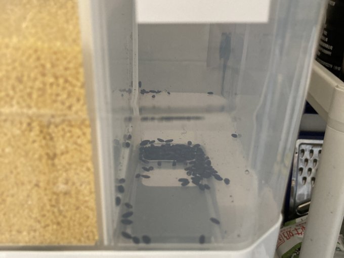 收纳箱