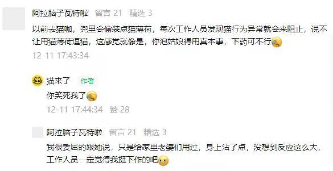 对猫薄荷无感的猫不快乐?来试试这些,猫:快给爷整点!