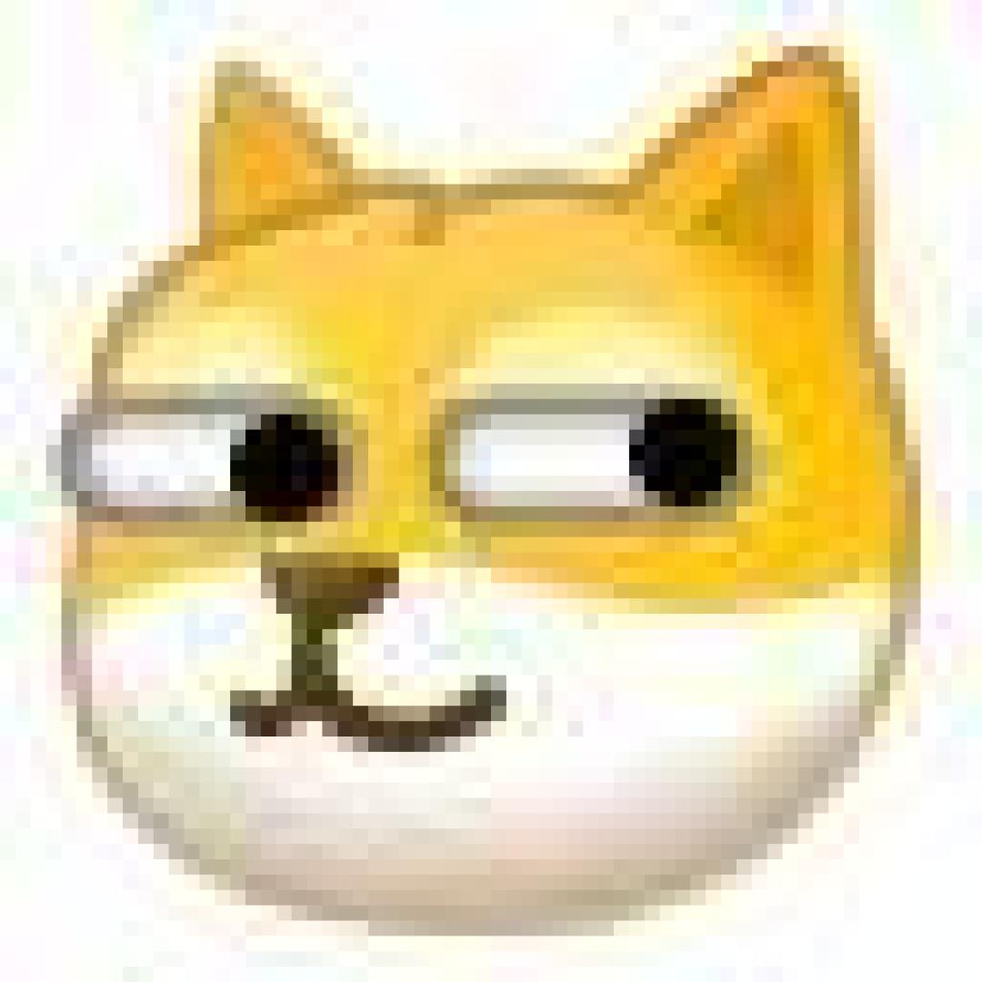对猫薄荷无感的猫不快乐?来试试这些,猫:快给爷整点!