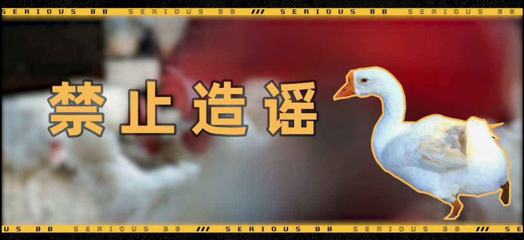 一只鸡征服世界