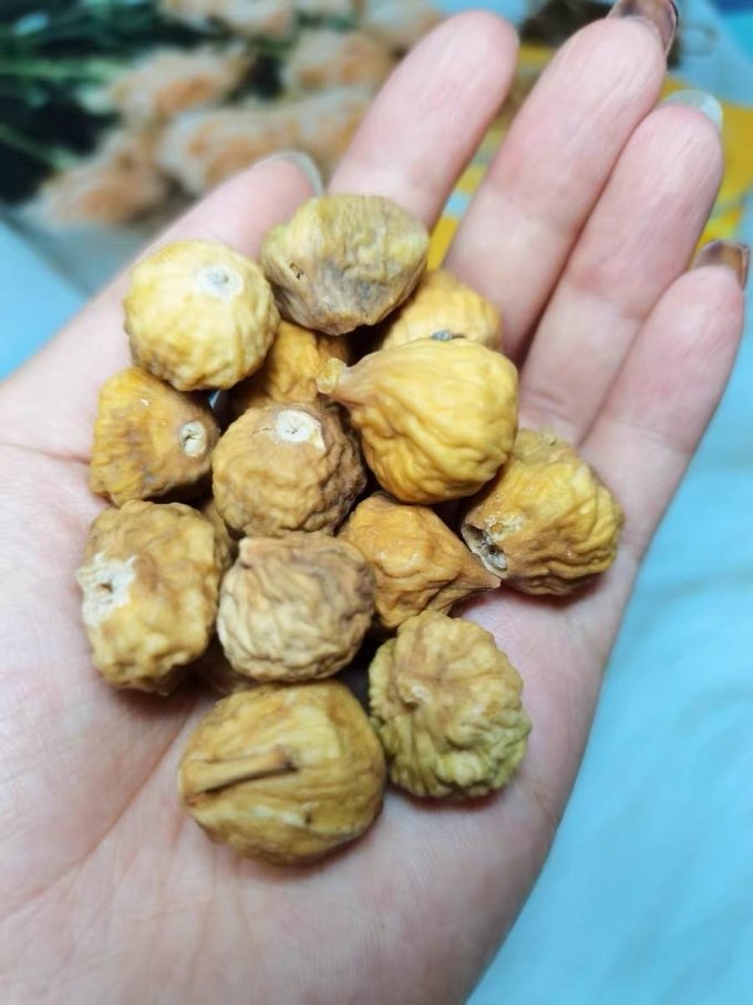 新边界蜜饯果脯