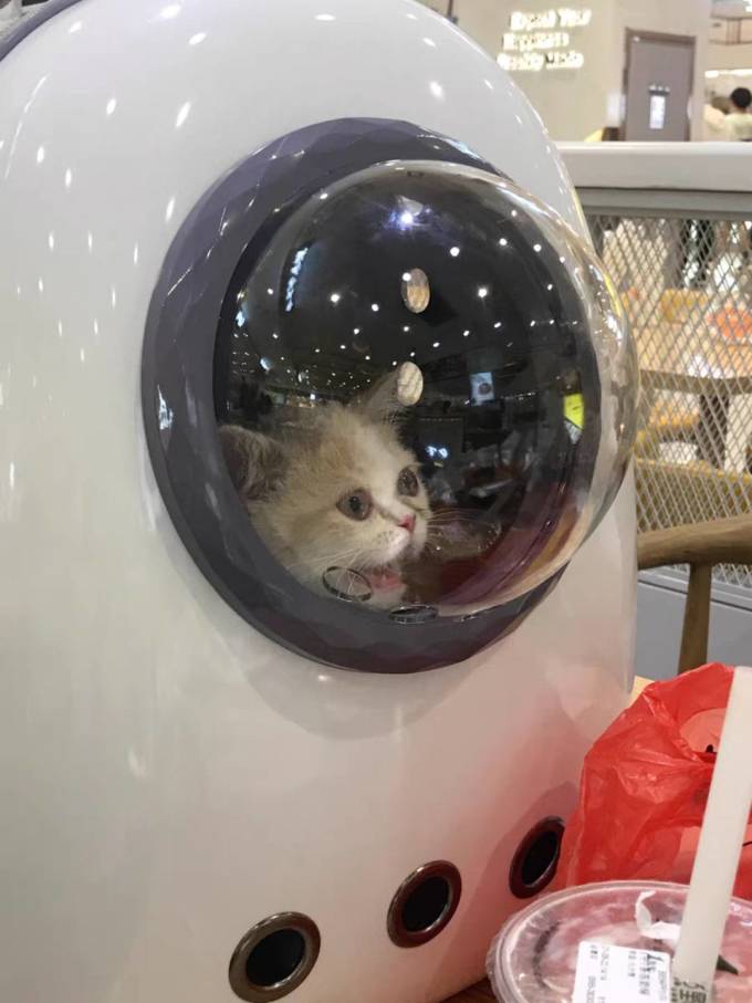 太空猫宠物便携包