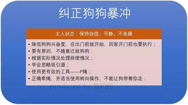 乖狗狗修炼手册：五大狗狗常见行为问题完全解读及纠正