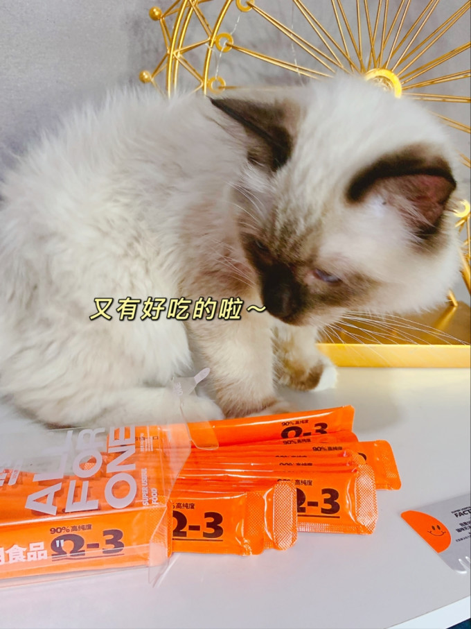 万物一口宠物营养