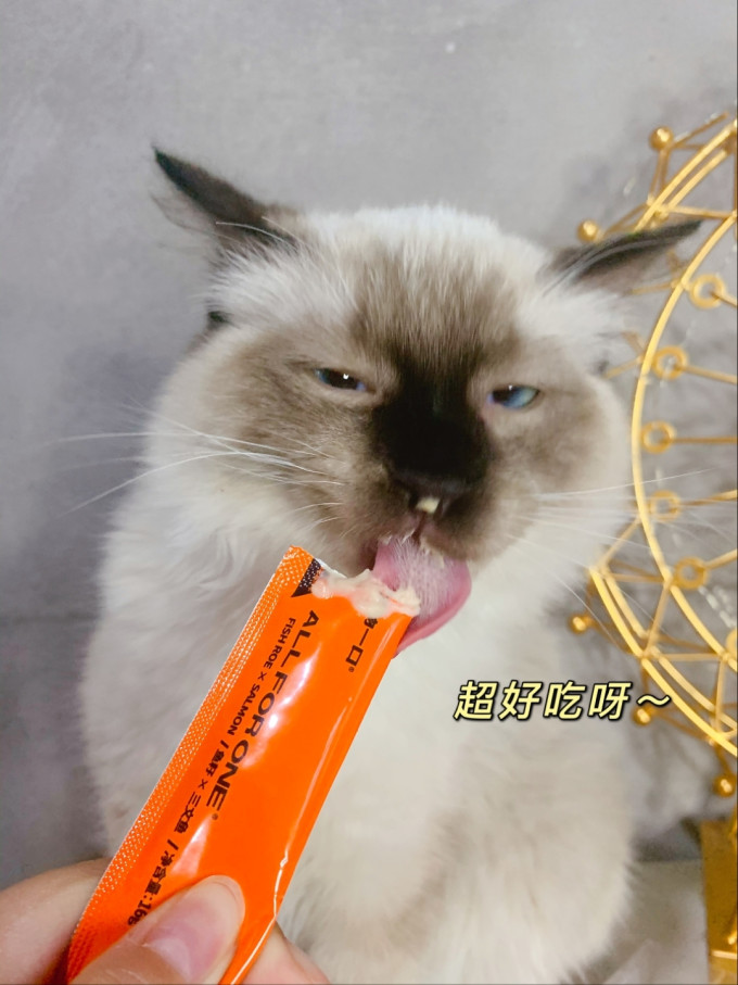 万物一口宠物营养
