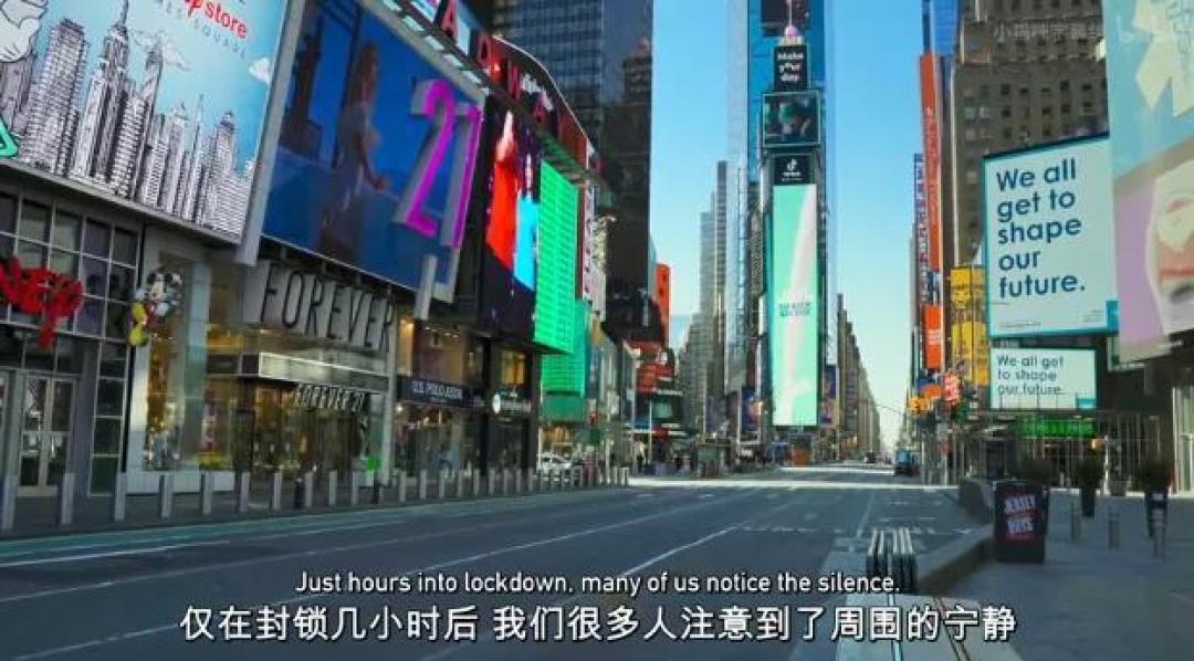 豆瓣 9.2分,人类宅家这一年,它们变成地球主角,却悄悄治愈了亿万网友的心
