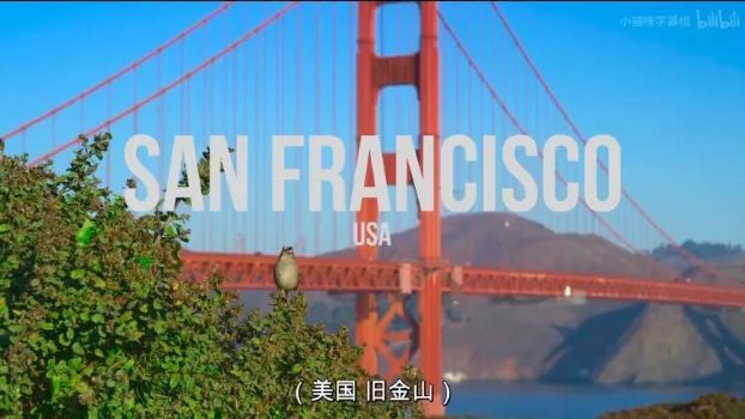 豆瓣 9.2分,人类宅家这一年,它们变成地球主角,却悄悄治愈了亿万网友的心
