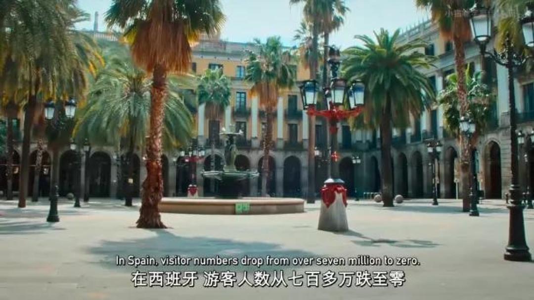 豆瓣 9.2分,人类宅家这一年,它们变成地球主角,却悄悄治愈了亿万网友的心