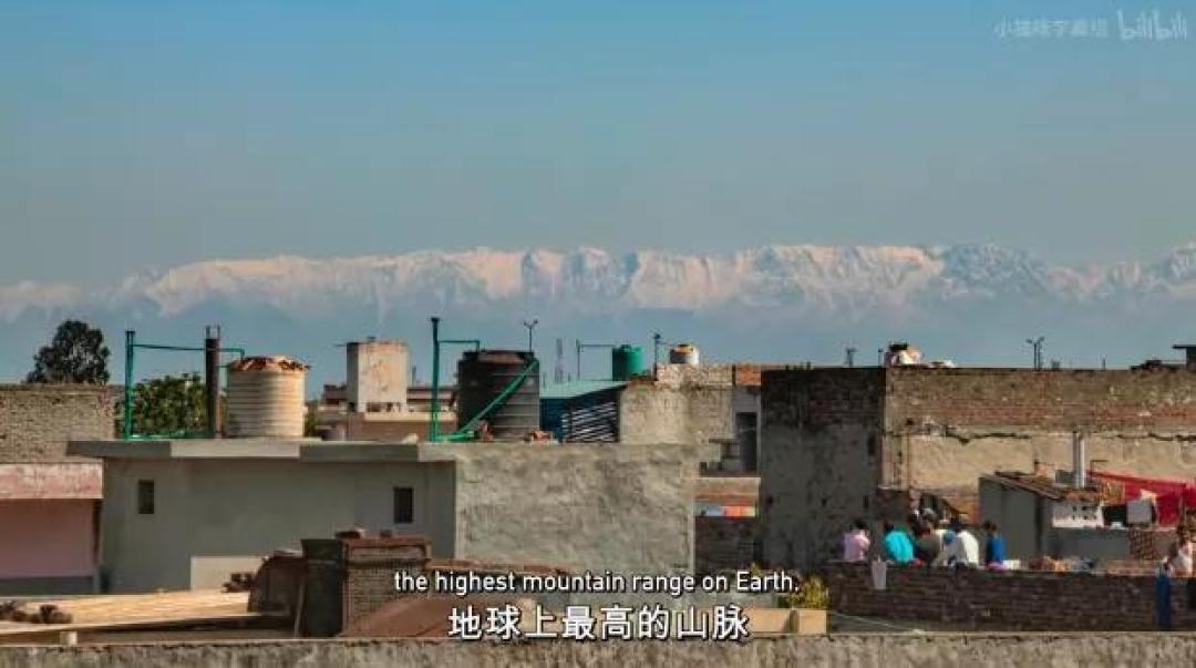豆瓣 9.2分,人类宅家这一年,它们变成地球主角,却悄悄治愈了亿万网友的心