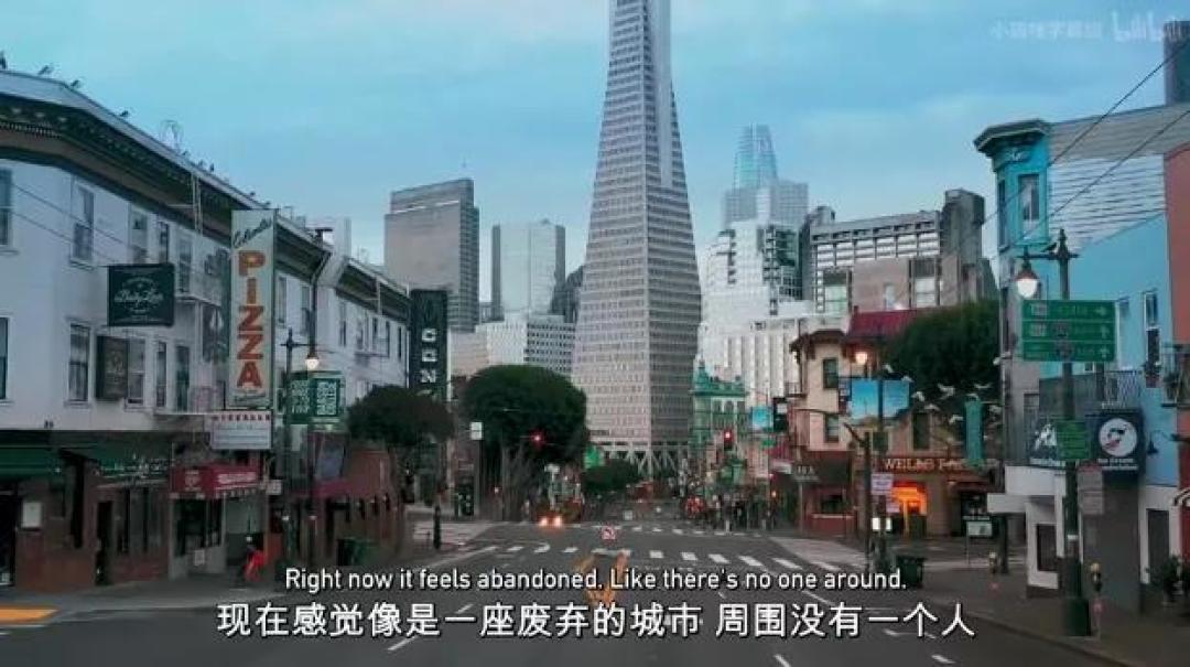 豆瓣 9.2分,人类宅家这一年,它们变成地球主角,却悄悄治愈了亿万网友的心