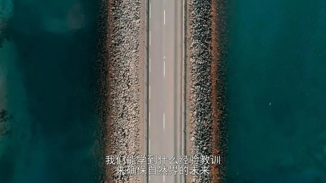 豆瓣 9.2分,人类宅家这一年,它们变成地球主角,却悄悄治愈了亿万网友的心