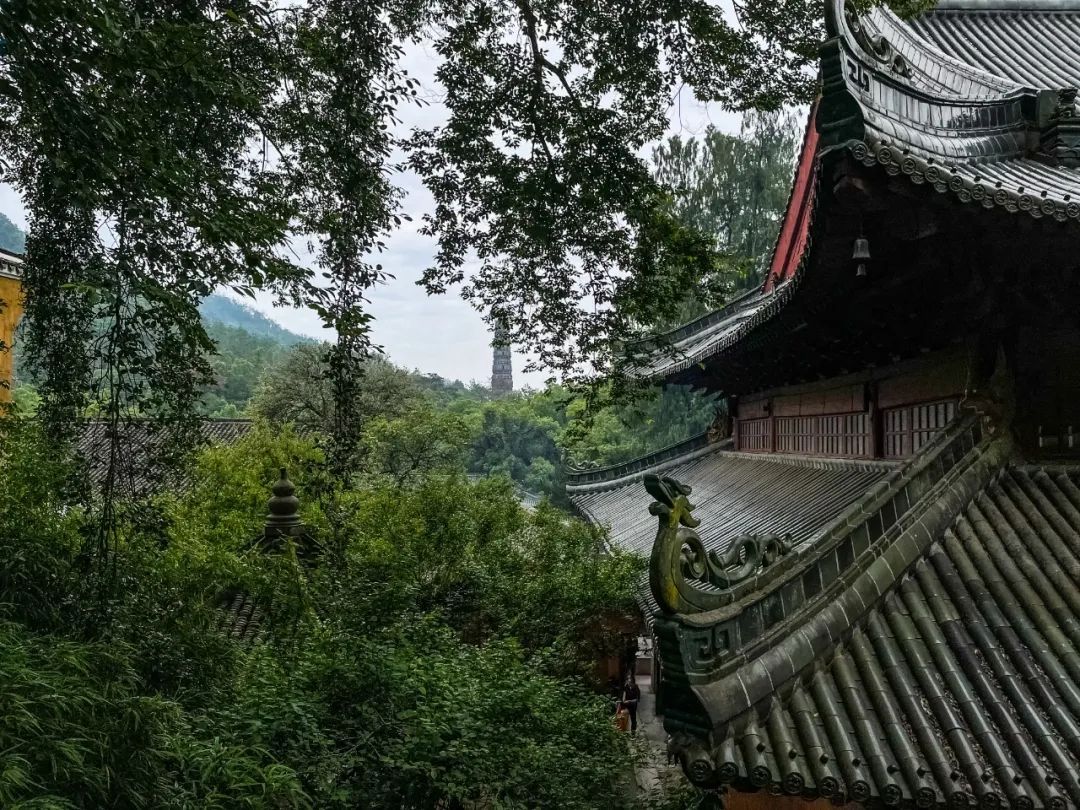 被日本尊为祖庭的中国古刹旁，居然有家宝藏酒店！