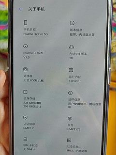 正品 realme真我Q2 pro！