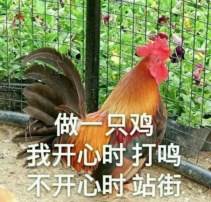 吃腻了巅峰，你还可以考虑下它？