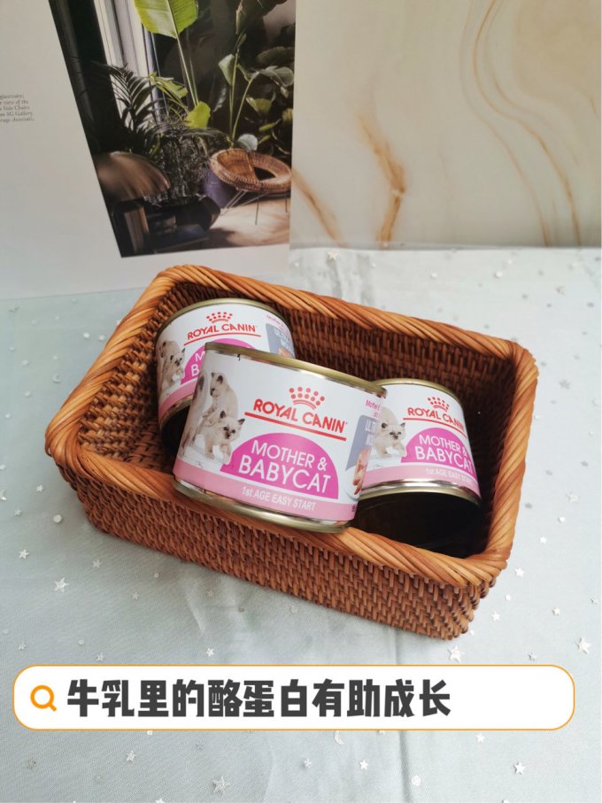 皇家宠物主粮