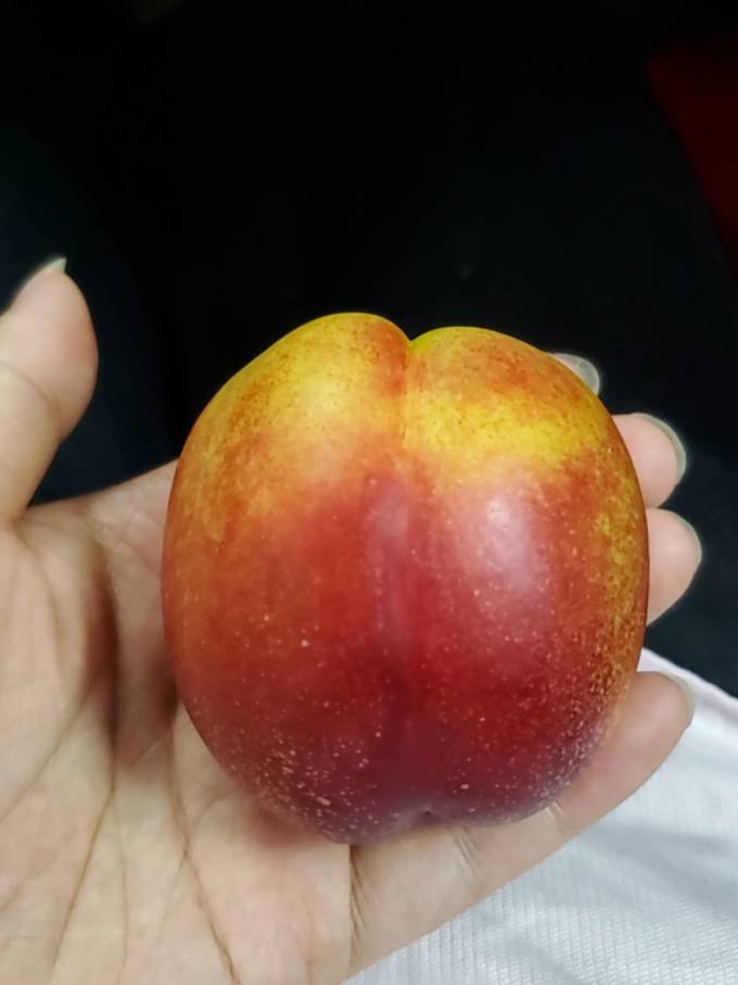 新鲜水果