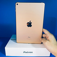 7.9寸iPad mini 5的使用体验