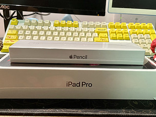 东哥5199 ipad pro完美下车