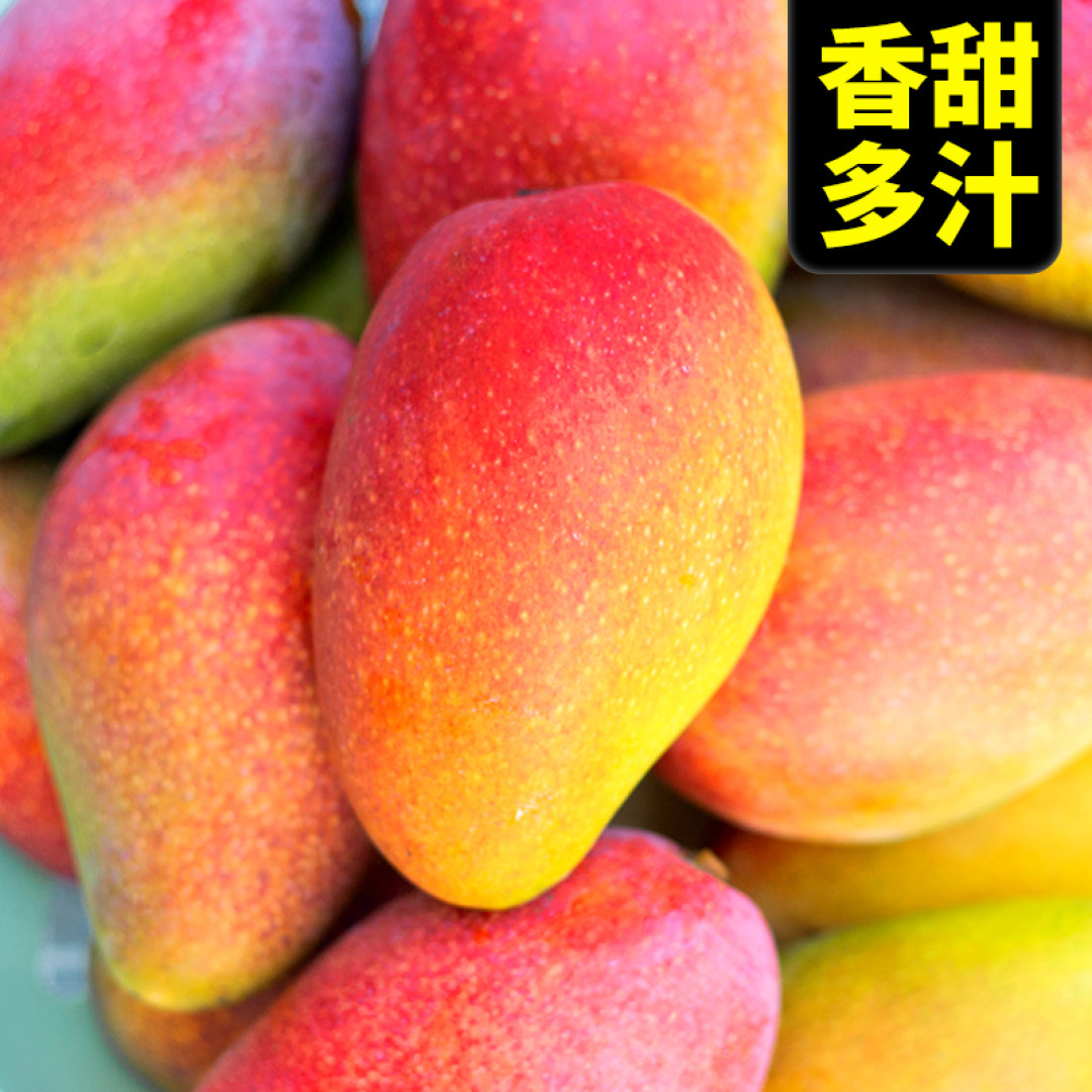 芒芒果海,你吃过几种?张大妈水果图鉴之---百色芒果