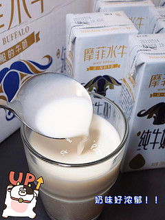 好物分享｜这个牛奶也太浓郁了吧🐮发现宝