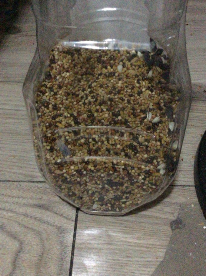 开元宠物用品