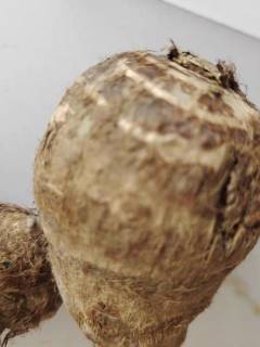 芋头简直是人间美味，真的是太好吃了