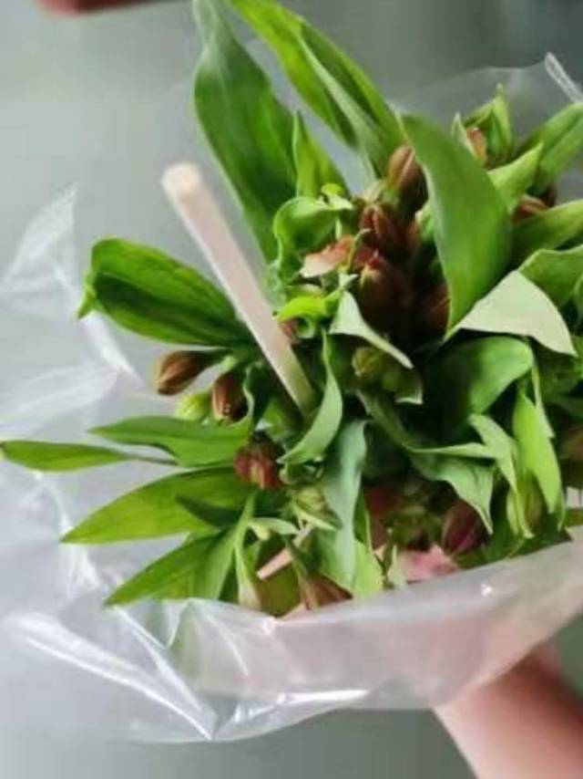 含苞待放