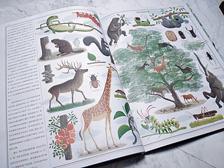 很有爱的自然绘本，关于《树木》的那些事儿