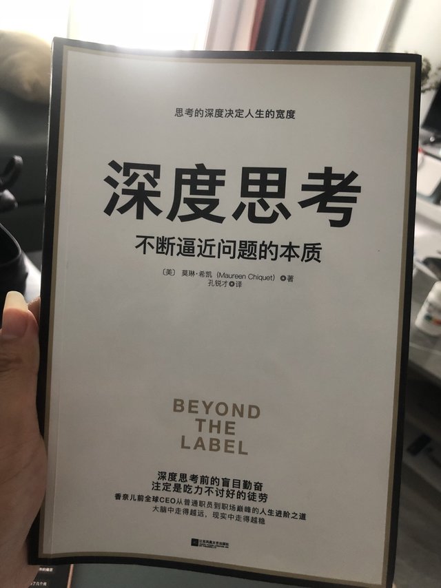 前香奈儿CEO逻辑著作