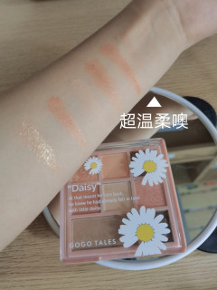 戈戈舞眼影盘801