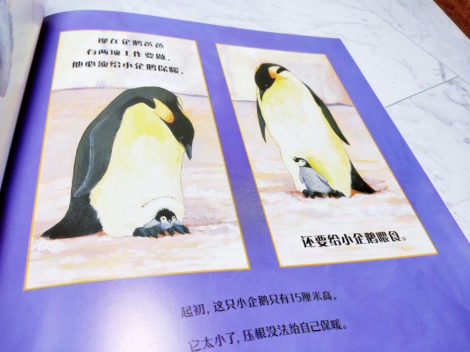 绘本/图画书