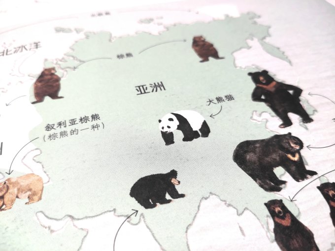 绘本/图画书