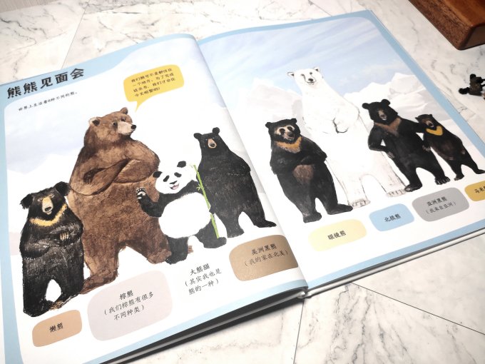 绘本/图画书