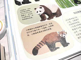 有着各种熊的有趣绘本