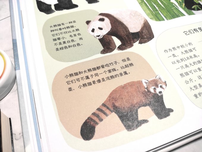 绘本/图画书