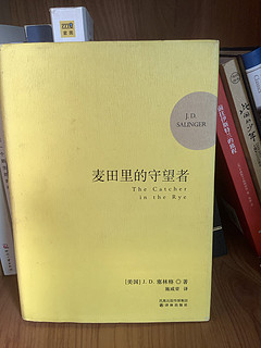 一个年代的绝唱《麦田守望者》