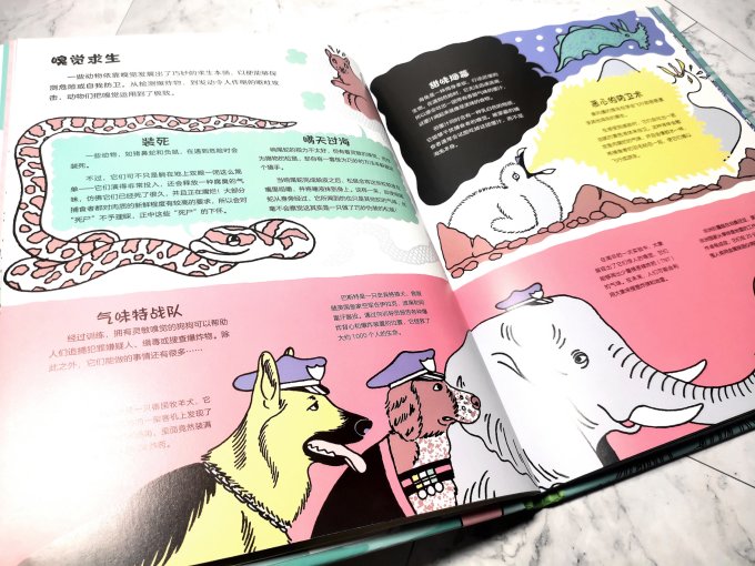 海豚出版社绘本/图画书