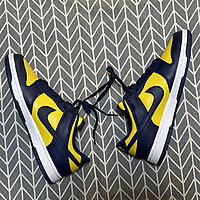 胖胖买的鞋 篇一百三十五：好不容易中一双Nike Dunk Low