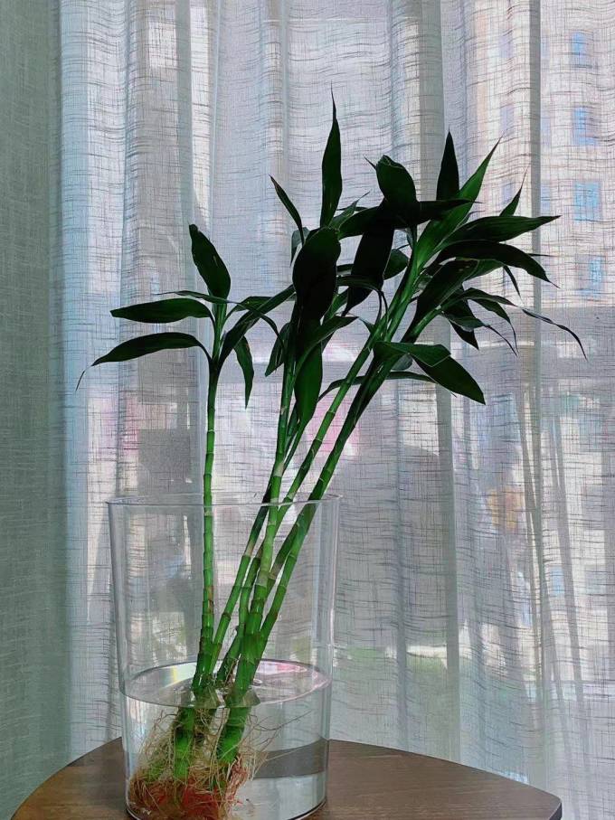 鲸言清洁工具
