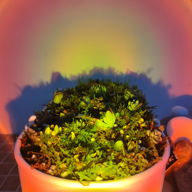一米田智能种植伴侣-家庭里的智能花盆