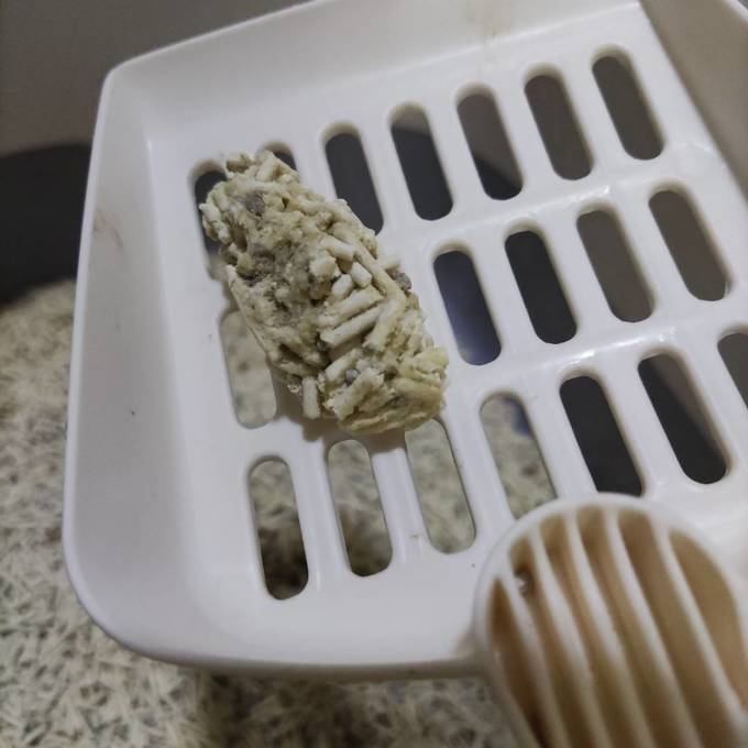 洁客猫砂