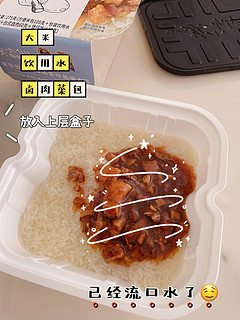懒人宅家必备“莫小仙”自热台式卤肉煲仔饭