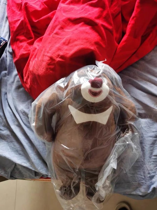 熊大熊二毛绒玩具
