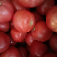 食用西红柿的体验