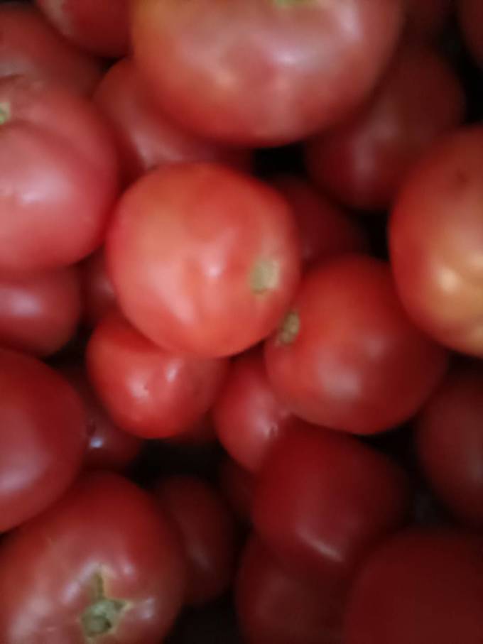 蔬菜