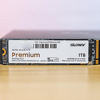 性能寿命都给力，国产M2固态之光、光威（Gloway）Premium系列固态硬盘 评测