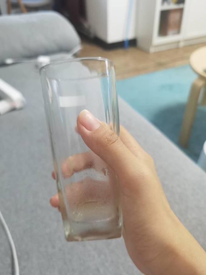 福腾宝玻璃杯